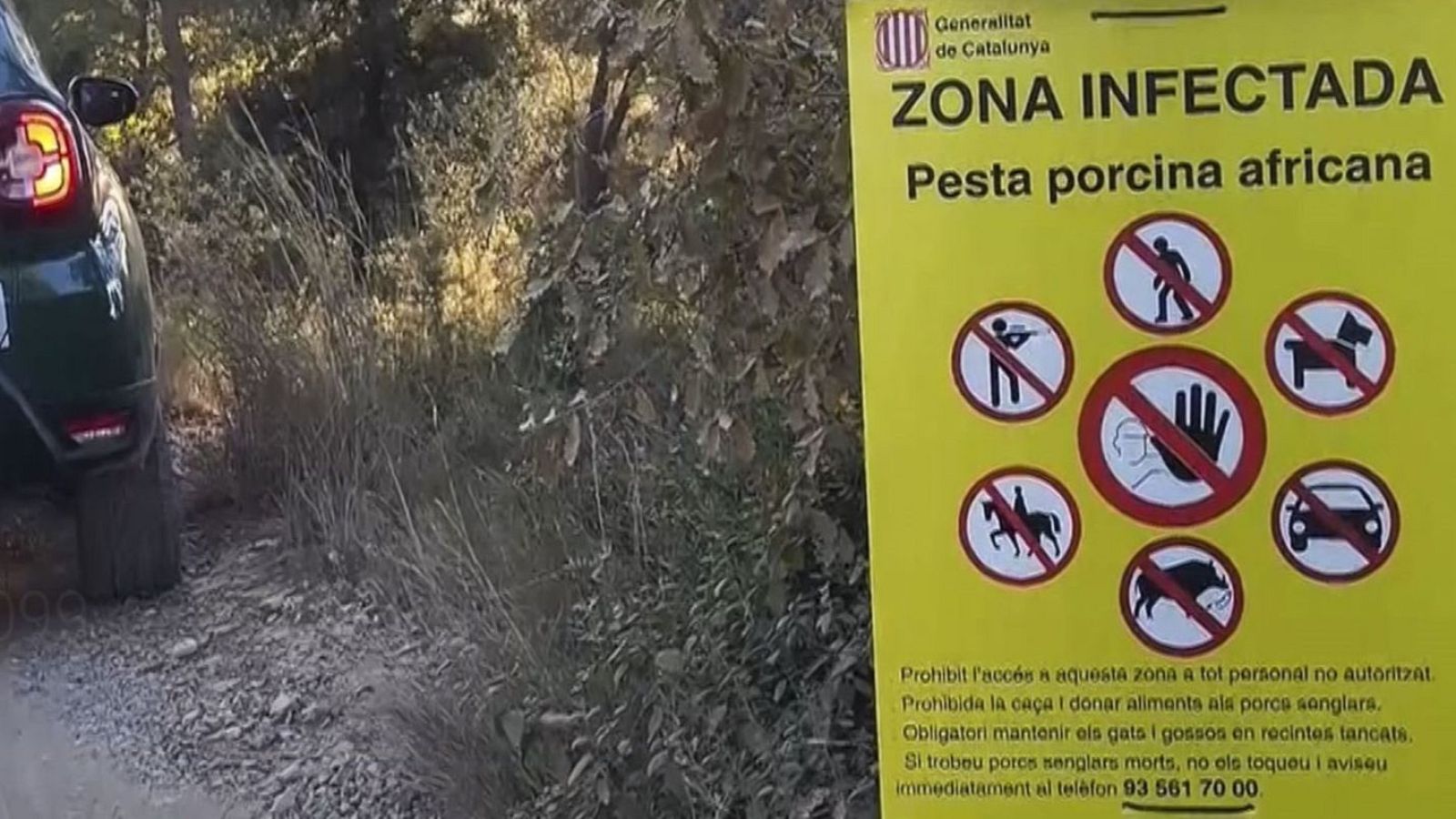 Un dels cartells que s'han situat al perímetre de 6 quilòmetres de radi del focus de pesta porcina africana a Collserola