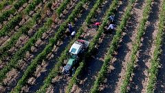 Leza brinda por las tres décadas de historia y vino de Rioja Alavesa