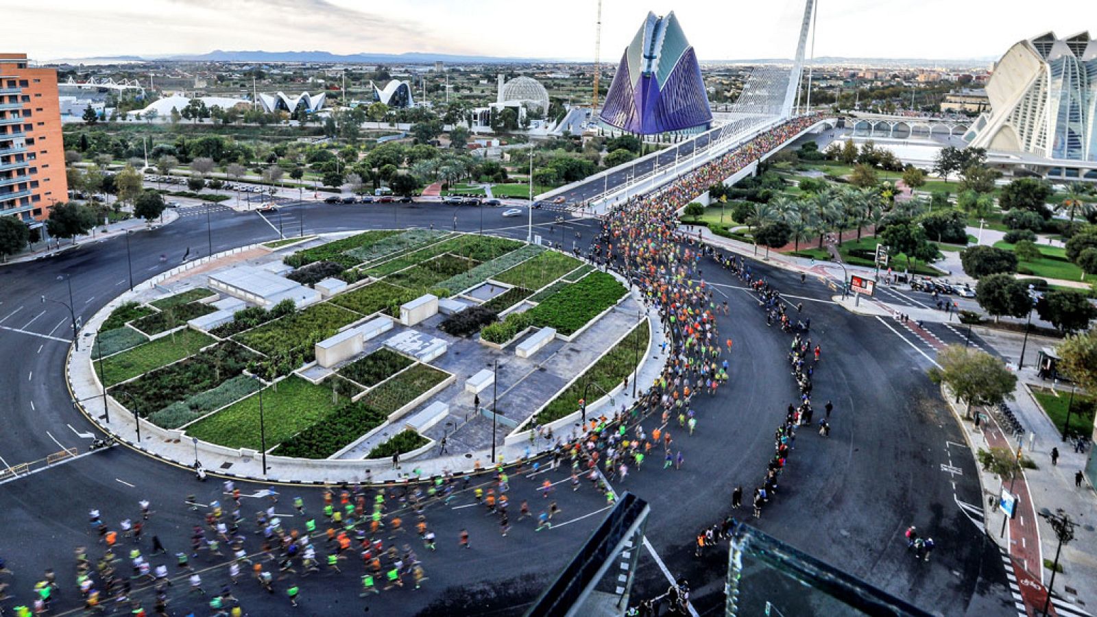Atletismo - Medio Maratón Valencia Trinidad Alfonso. EDP 2018 - ver ahora