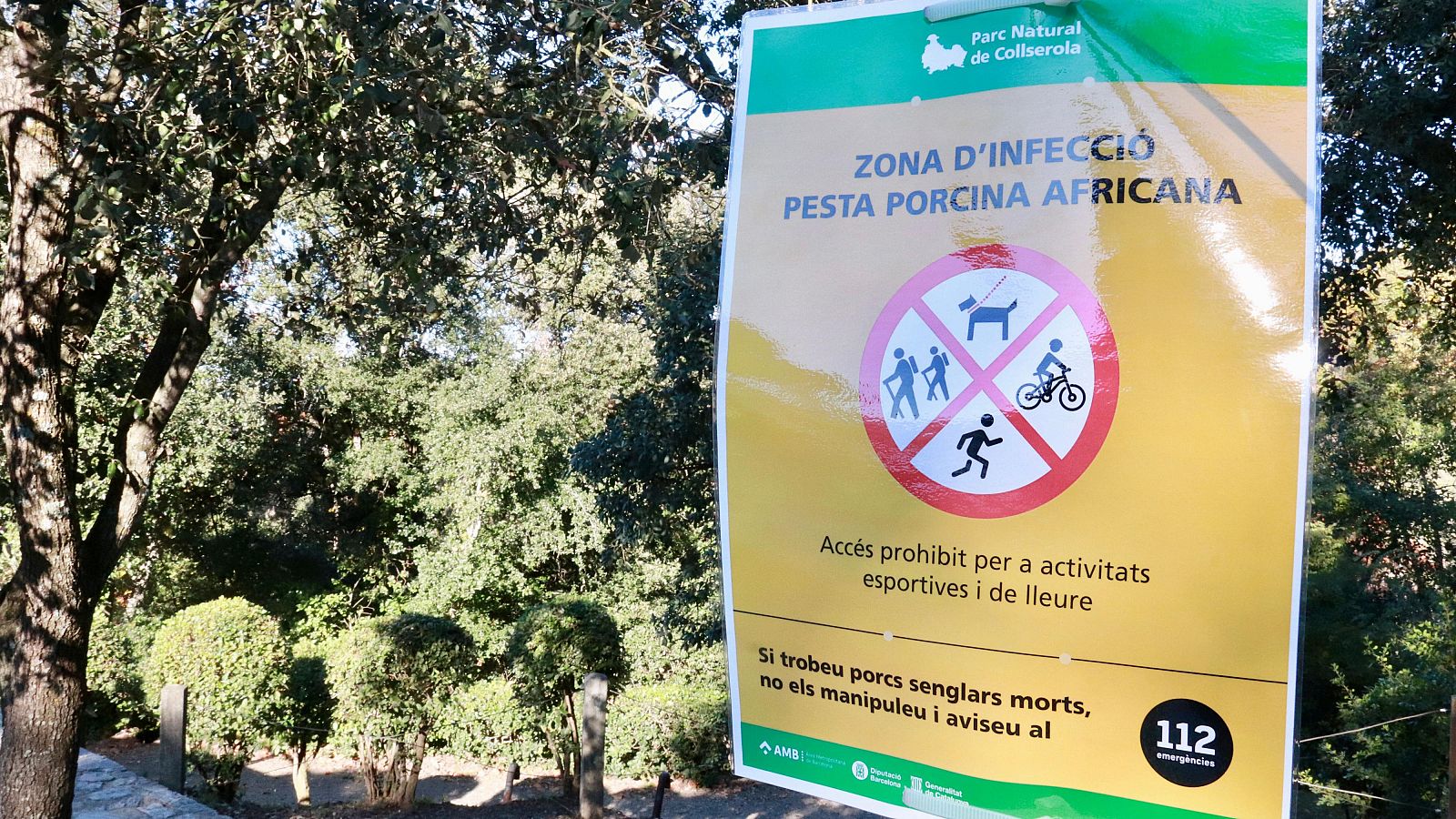 Cartell sobre les restriccions per evitar la propagació de la pesta porcina africana, exposats al centre d’informació del Parc Natural de la Serra de Collserola