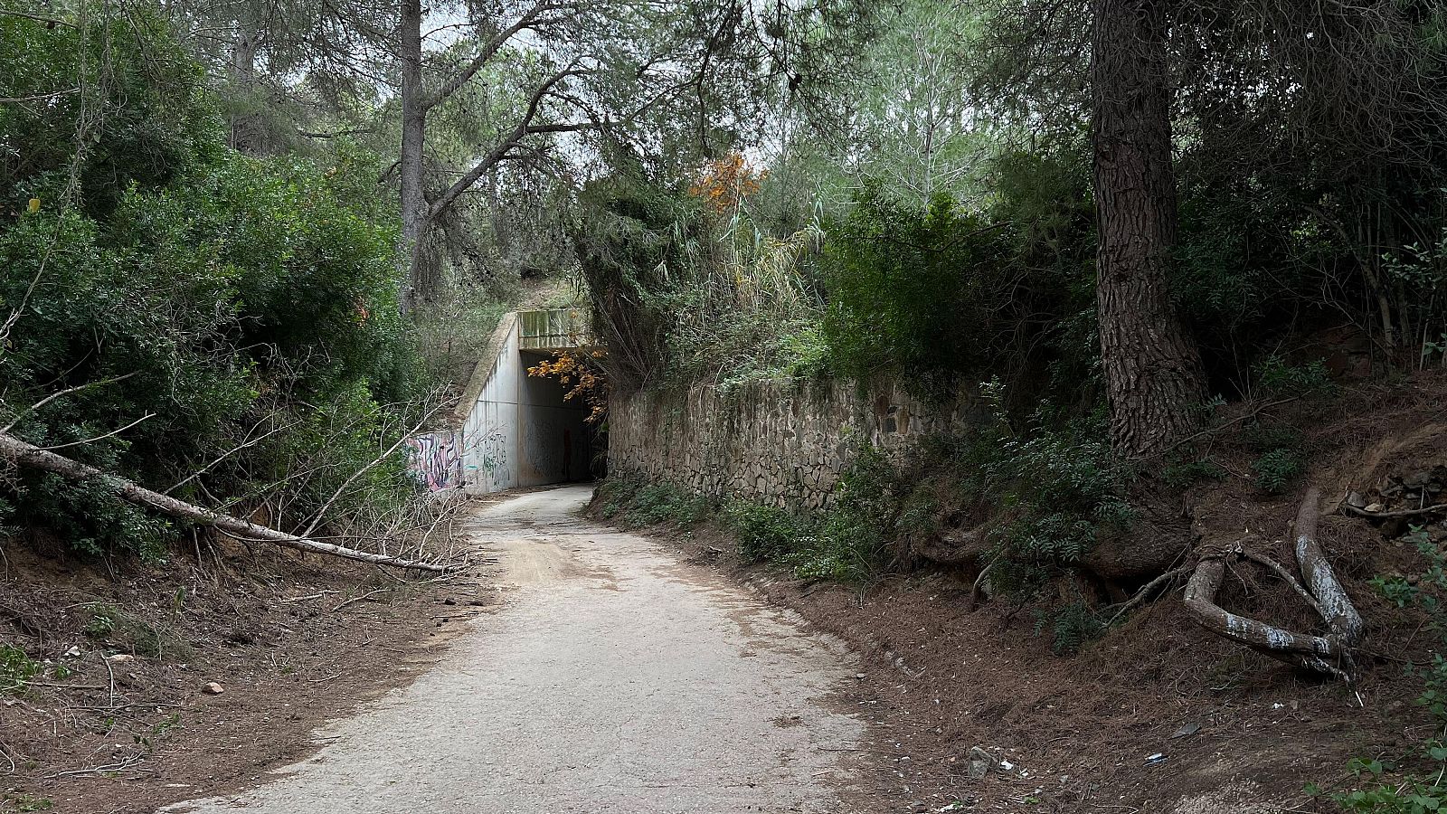 Imatge del barranc del Gendre de Riudecanyes on va ser trobada la dona morta | ACN