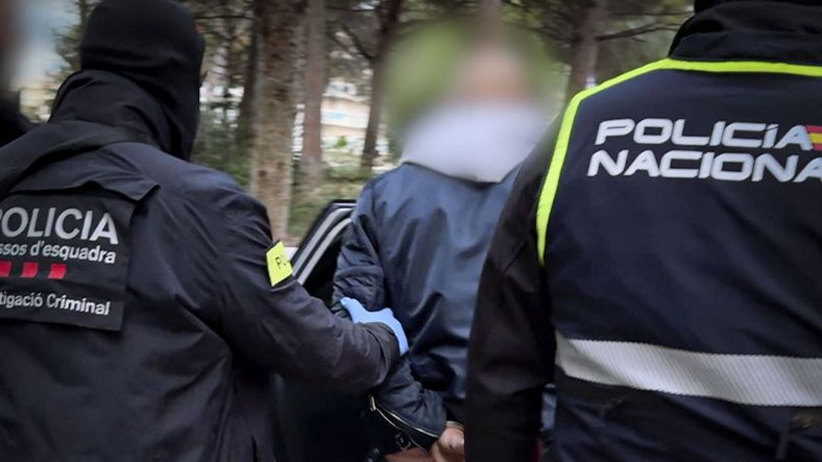 Un home detingut en el marc del dispositiu policial contra una organització amb epicentre a Catalunya implicada en assalts violents i tràfic de drogues