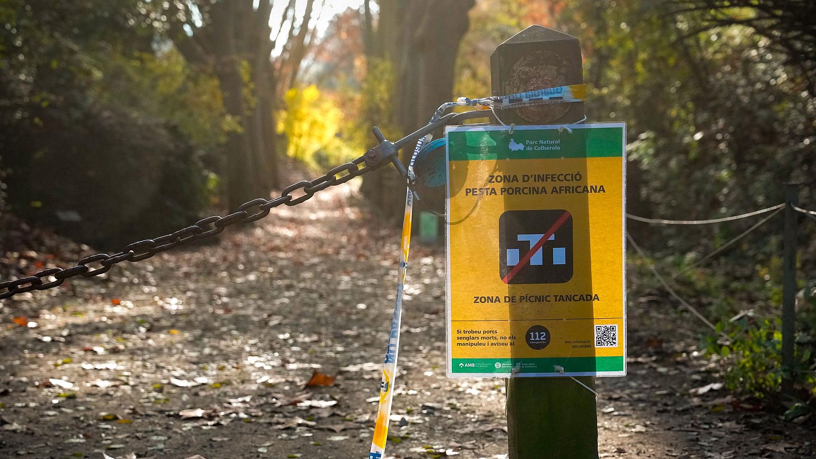 Vista d'un cartell avisant sobre la prohibició d'accedir a la serra de Collserola