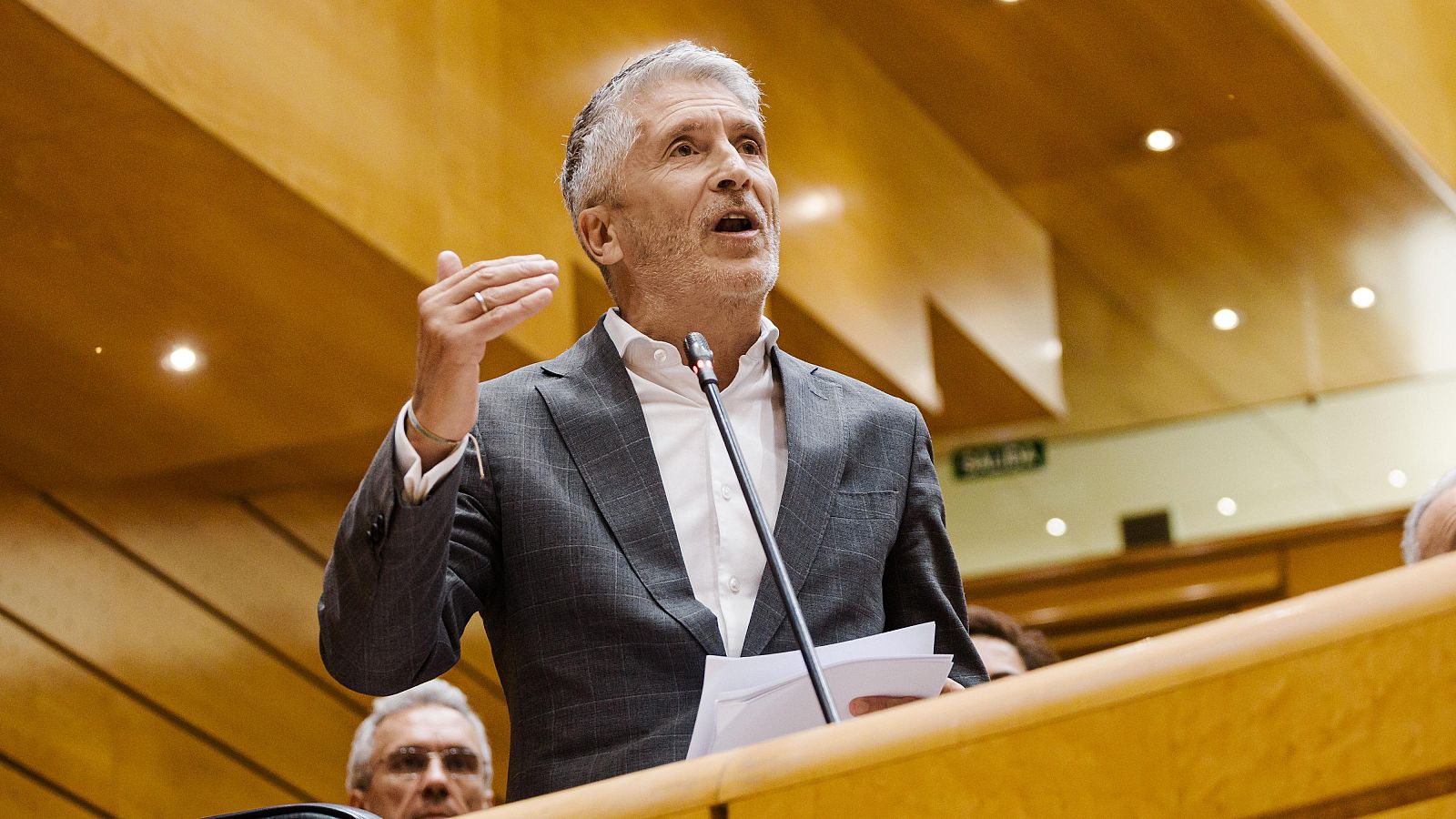 El ministro del Interior, Fernando Grande Marlaska, durante una sesión de control al Gobierno en el Senado