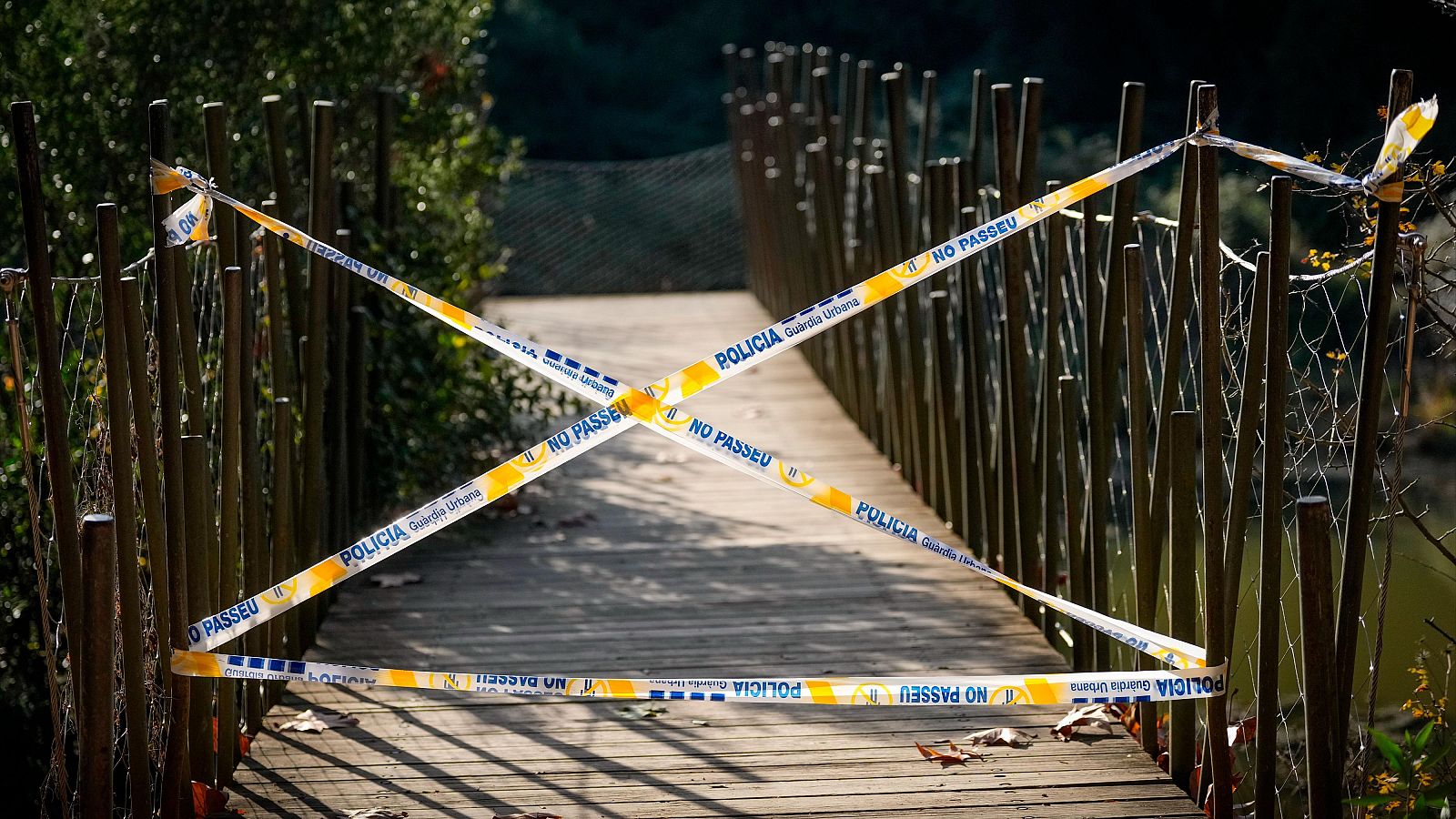 España confirma la muerte por peste porcina de 10 jabalíes más en la zona del primer foco