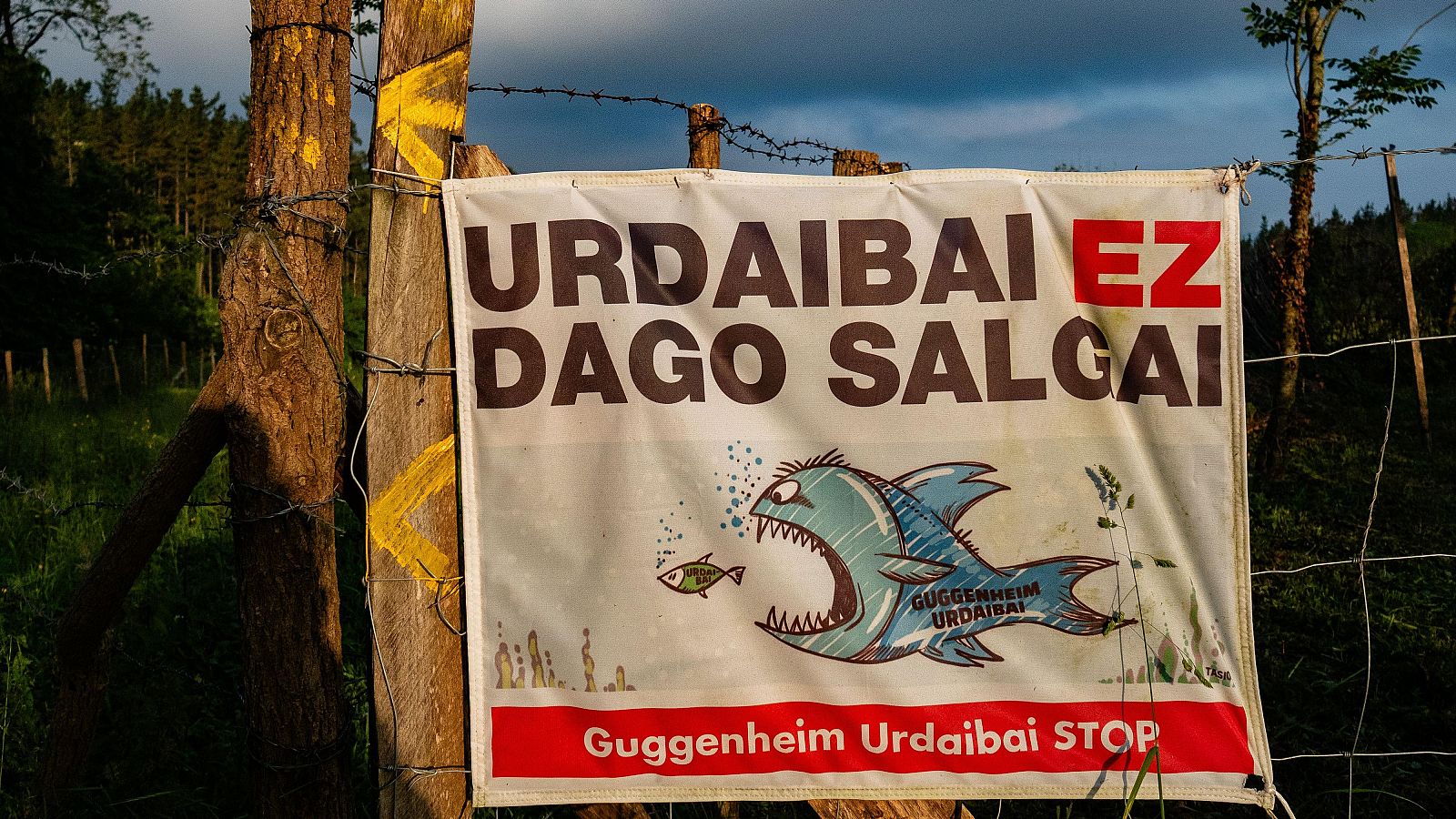 El Patronato del Guggenheim Bilbao decide paralizar la ampliación del museo a Urdaibai