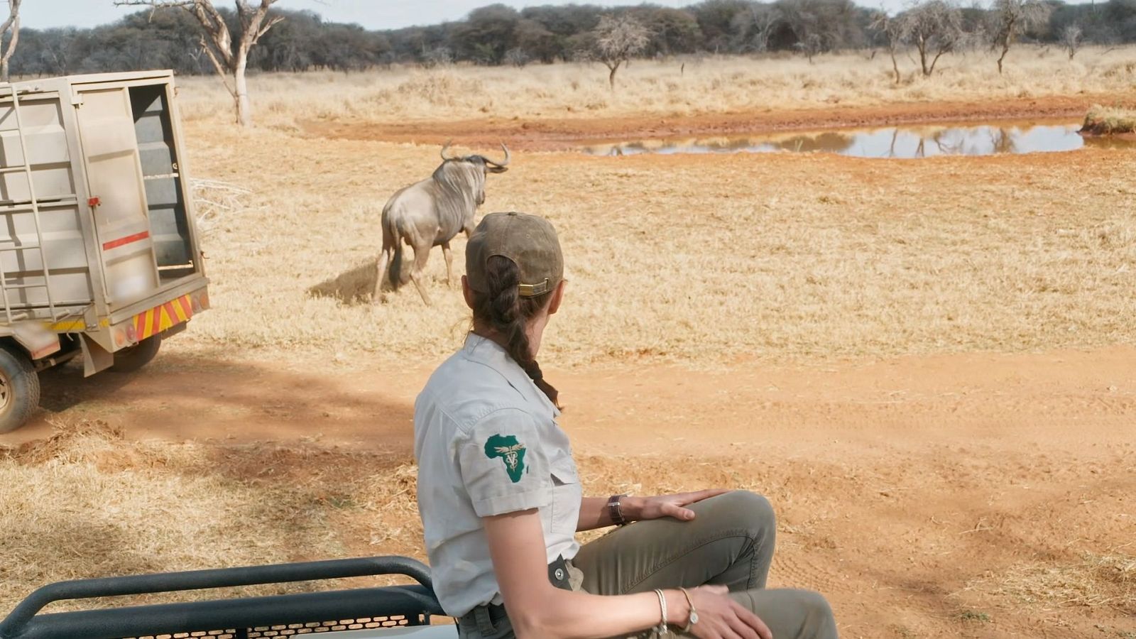 Cuarta entrega de ‘Dra. Fabiola Jones’