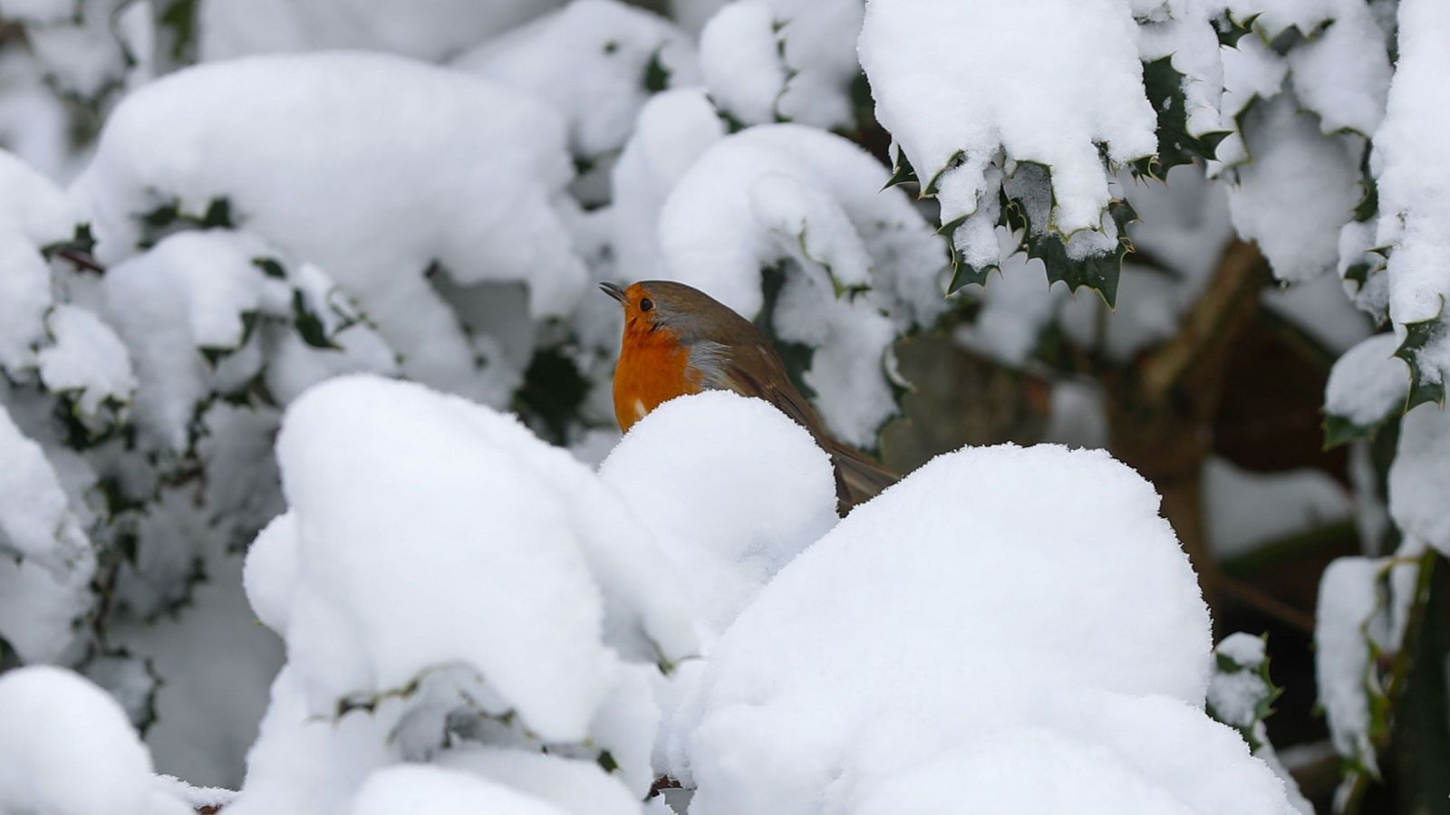 Ambiente frío en la semana de la Navidad