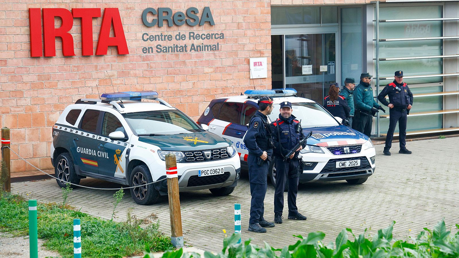 Las instalaciones del IRTA-CRESA validadas a la espera de la secuenciación del virus de la peste porcina