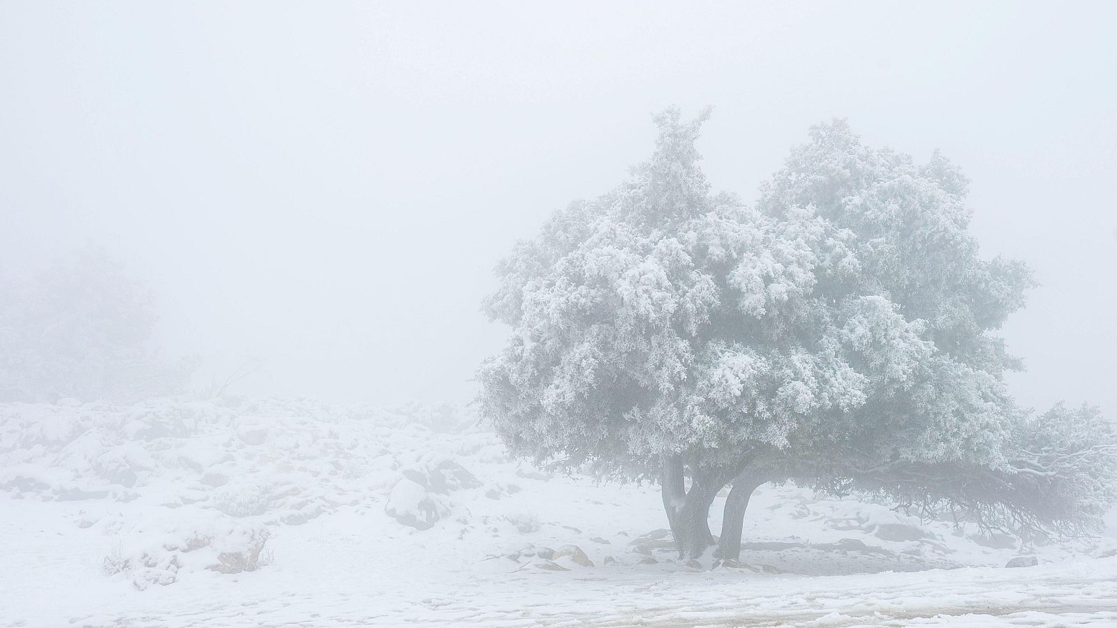 Vista de la sierra nevada en Cazorla (Jaén)