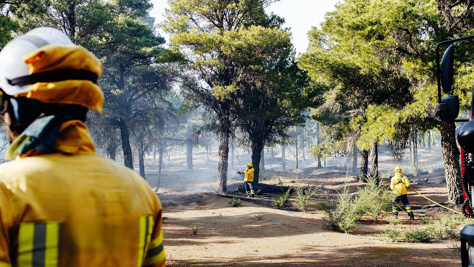 La Junta de Castilla y León convierte 837 puestos del operativo de incendios de fijos-discontinuos en fijos