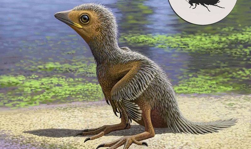 Por qué se extinguieron los dinosaurios? Por qué se extinguieron los dinosaurios?