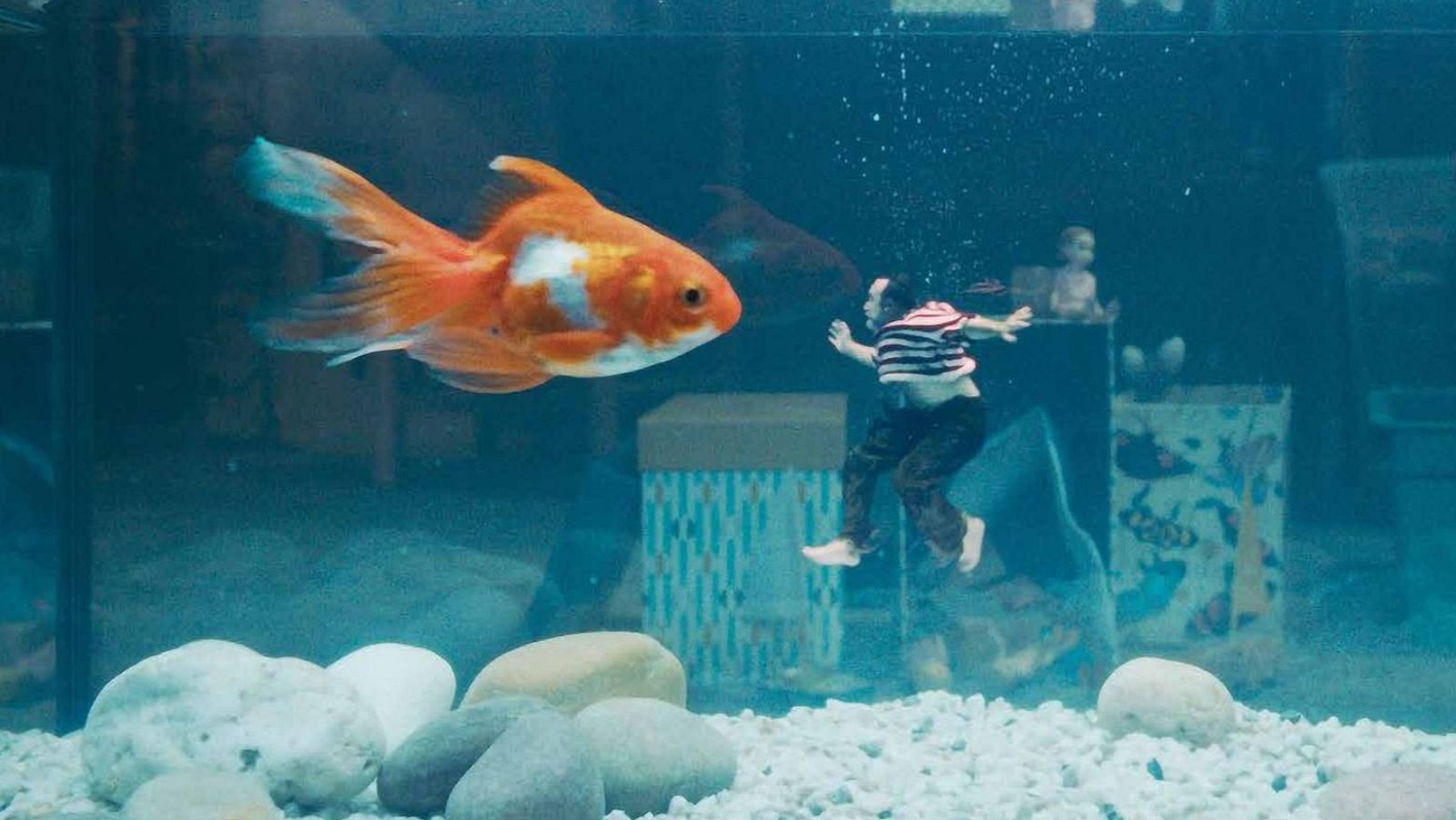 Un pez grande nada en un acuario, mientras una persona pequeña con ropa a rayas cae en el agua. Se observan piedras, grava y objetos decorativos en el fondo.