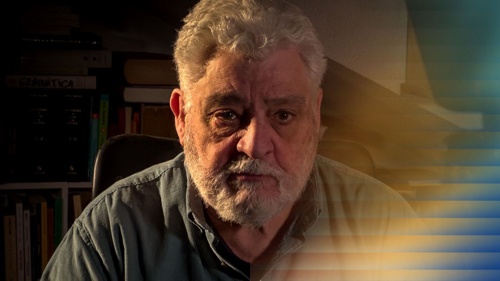 Un hombre mayor, Vicente Romero, con barba blanca y camisa clara, posa frente a una estantería llena de libros, uno de ellos con la palabra "Gramática". La luz, proveniente de una ventana con persianas, crea un juego de luces y sombras.