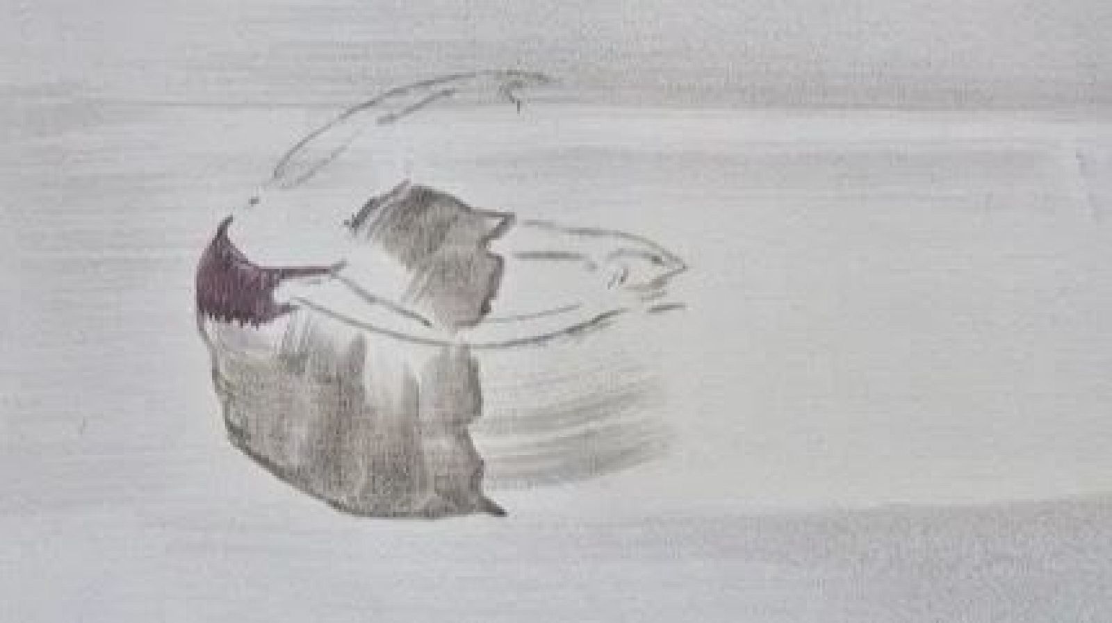 La danza de Marta Graham revive en una exposición de Lola Lasurt que reflexiona sobre la guerra