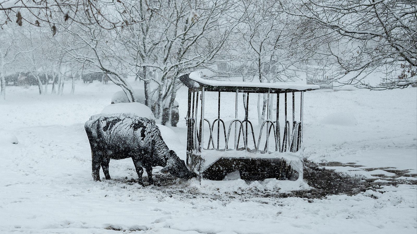España bajo el azote de la borrasca Ingrid