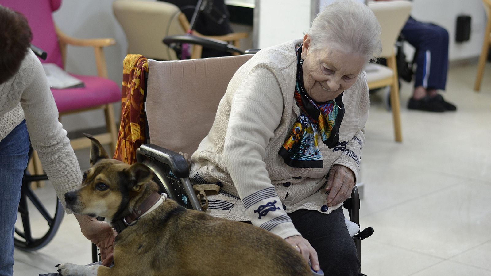 Rosario, usuaria de la Residencia Aedes peinando a la perra de terapia asistida