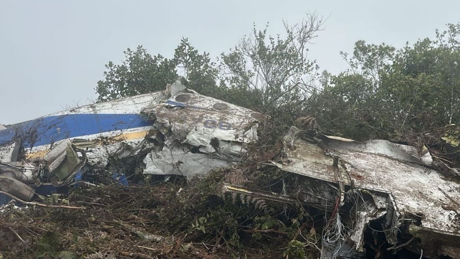 Restos de un avión con una franja azul, accidentado en una zona boscosa. Se aprecian partes de la estructura dispersas entre la vegetación, como la cola y el fuselaje, mostrando daños significativos.
