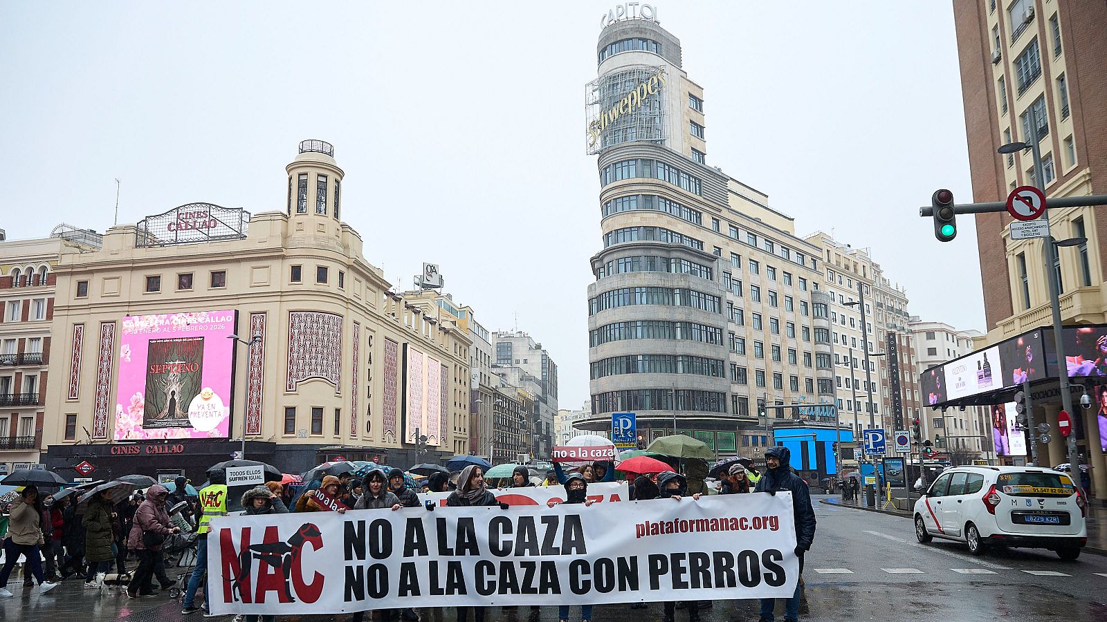 Manifestaciones contra la caza en toda España