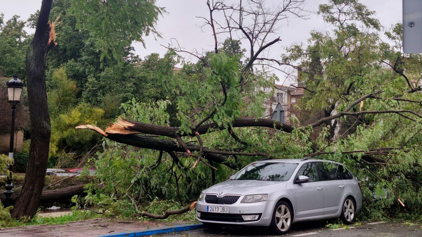 Un coche gris plata con la matrícula 2413 JBU está dañado por un árbol caído. La vía se encuentra parcialmente bloqueada, con ramas y hojas dispersas en el suelo, posiblemente debido a una tormenta.