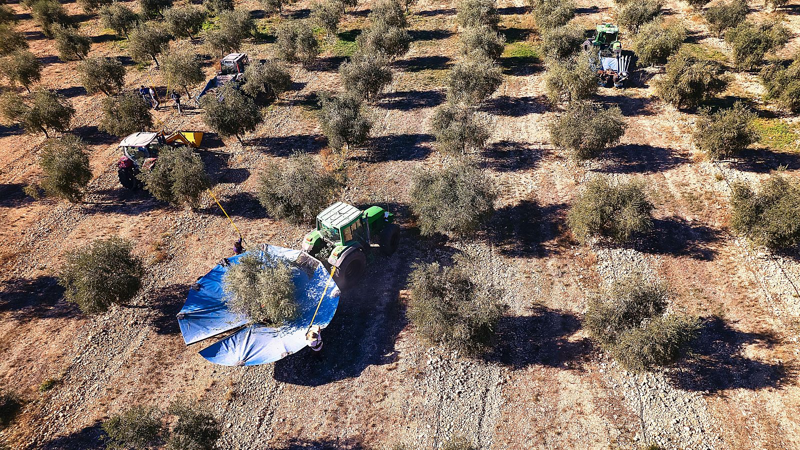 Se abre el plazo para solicitar las ayudas de la PAC de 2026: las claves de una herramienta vital para el campo
