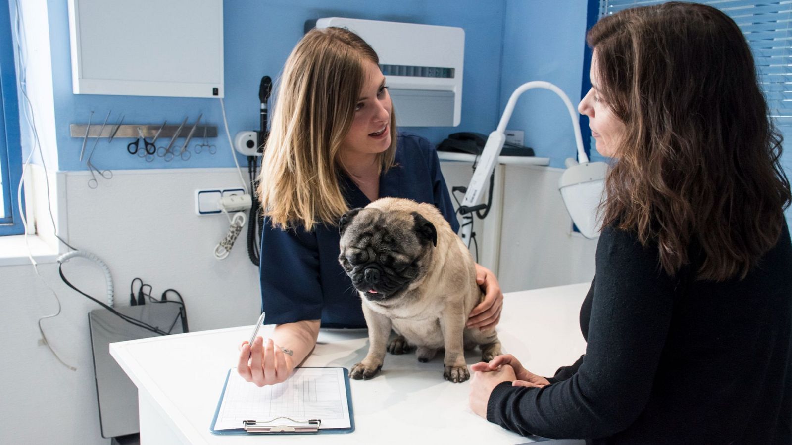 Una sentencia avala que la dueña de una mascota falte al trabajo por una urgencia veterinaria