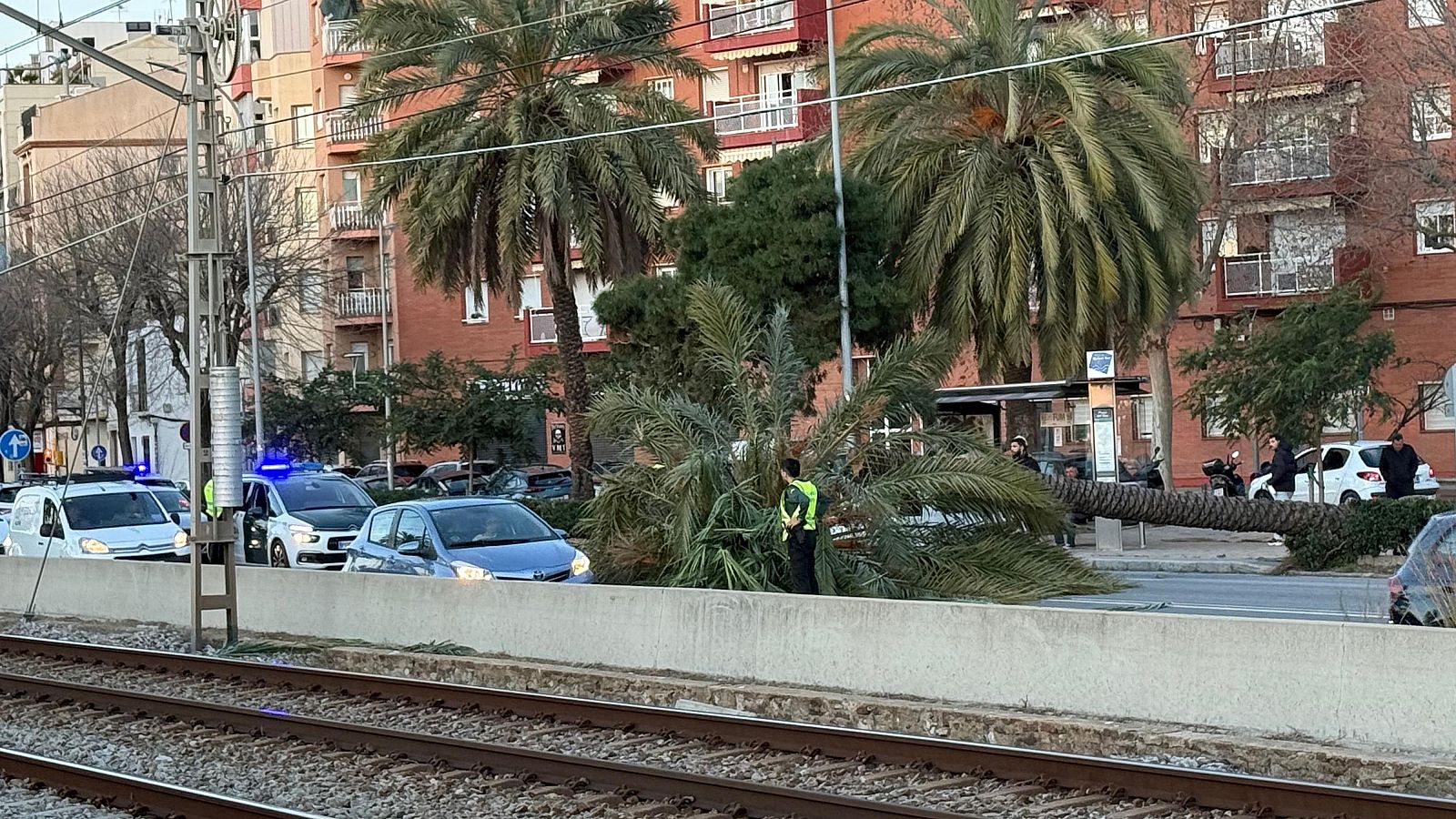 Arbre caigut a Mataró, a tocar de la via de tren. (ACN | Guillem Roset)