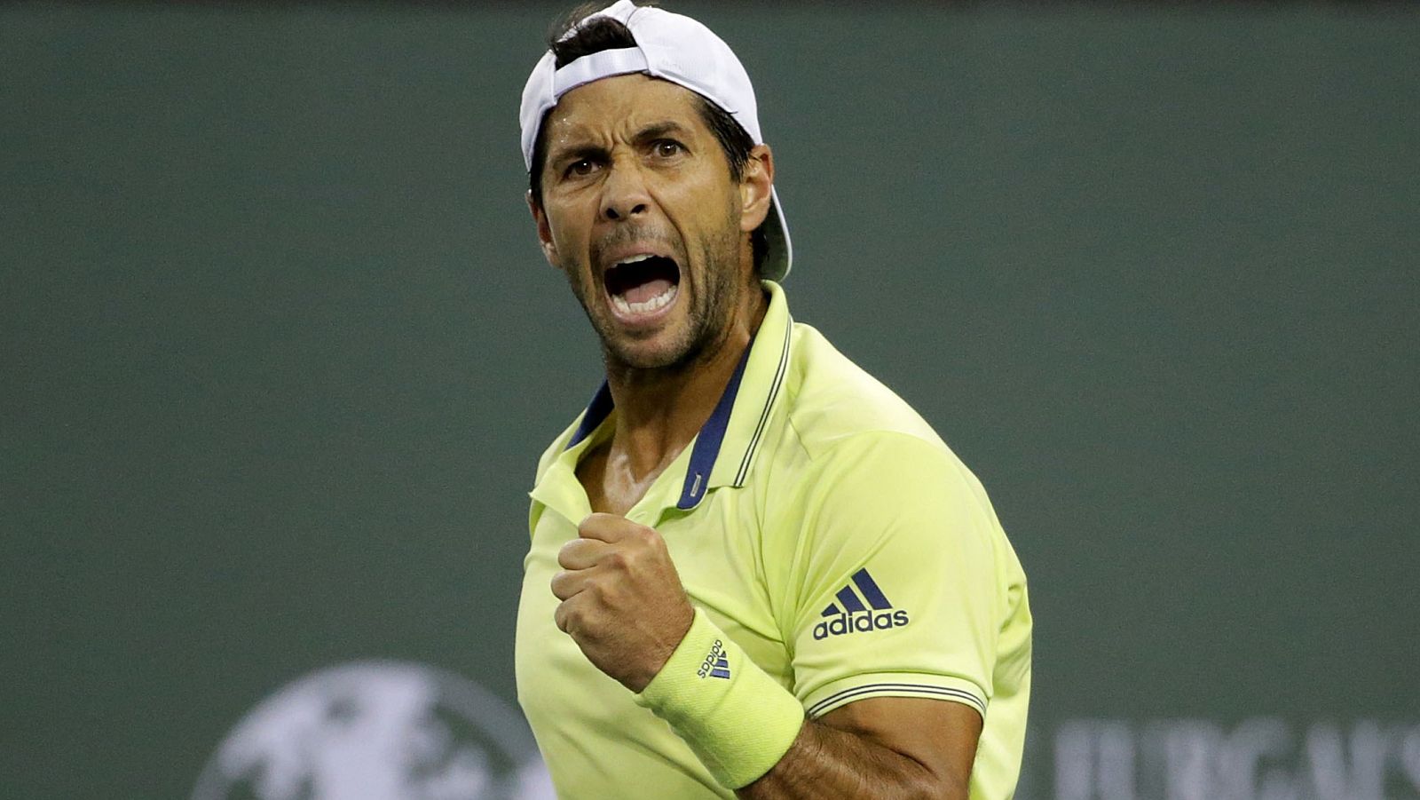 Fernando Verdasco elimina a Dimitrov