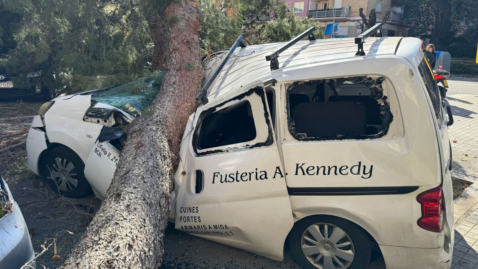 Imatge d'un arbre caigut a sobre d'un vehicle comercial al Guinardó, a Barcelona