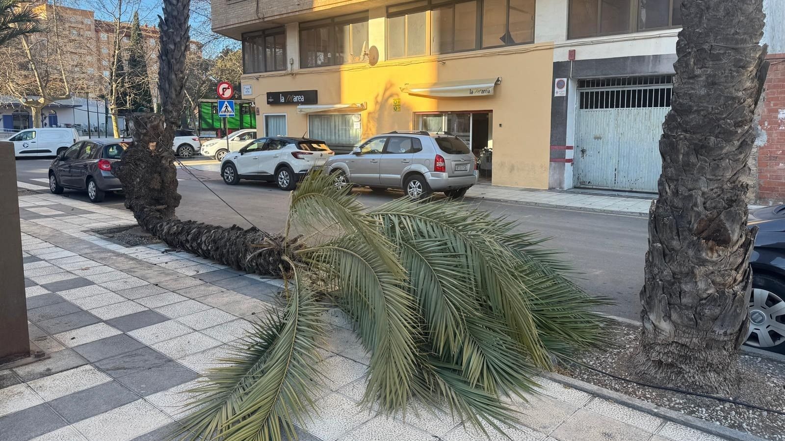Fuertes rachas de viento este viernes en Palma por la borrasca Oriana