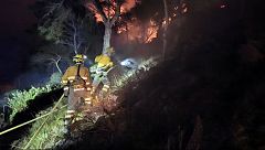 Controlado el incendio de Cabo Tiñoso (Murcia) tras arrasar 98 hectáreas de matorral y monte bajo