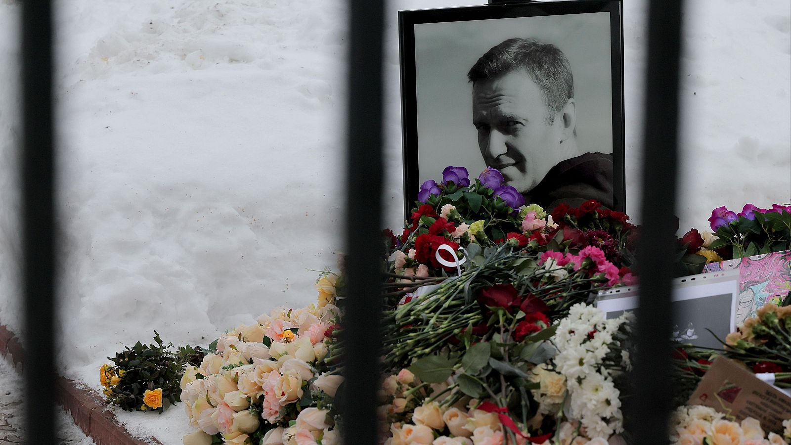 Tumba de Alexei Navalni