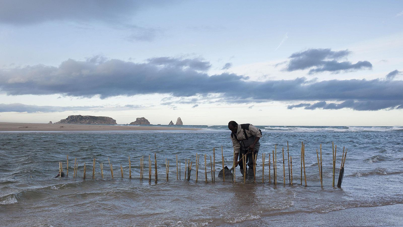 Pesca de la angula mediterránea en Torroella de Montgrí (Girona)