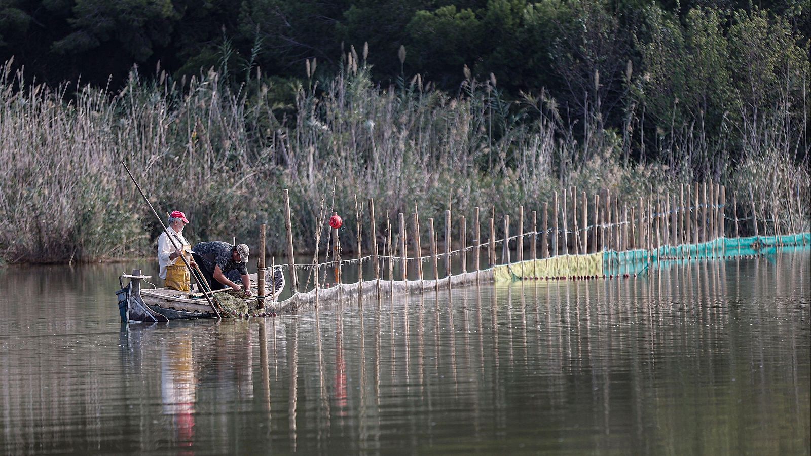Pescadores en la Albufera de Valencia, una de las zonas donde tradicionalmente se ha pescado la anguila
