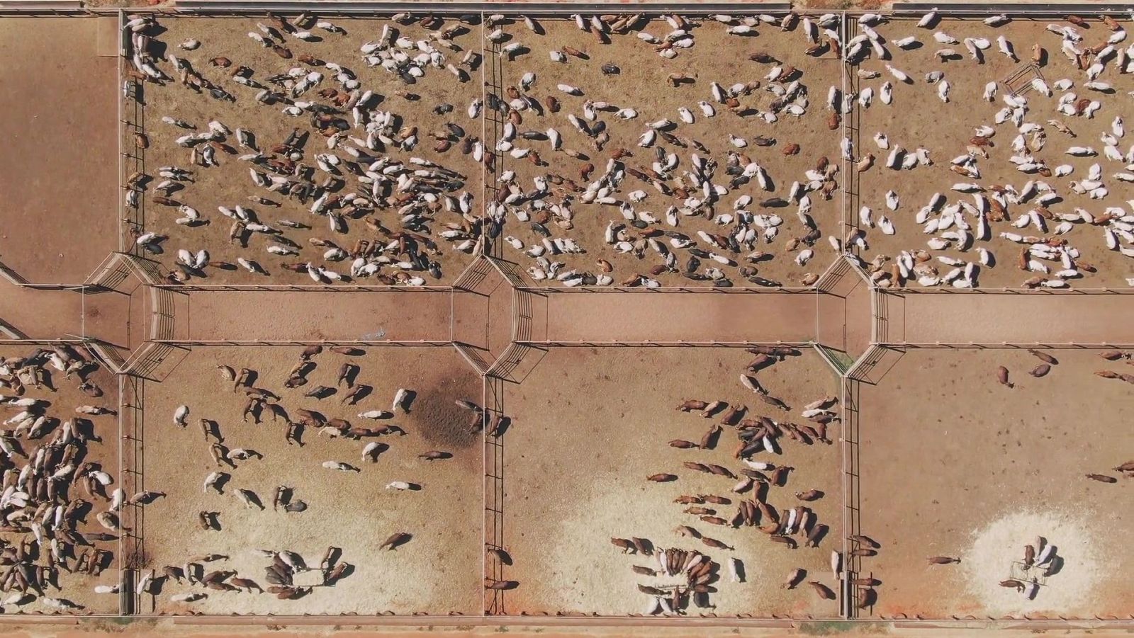 ¿Quién controla la tierra y el agua en el siglo XXI?