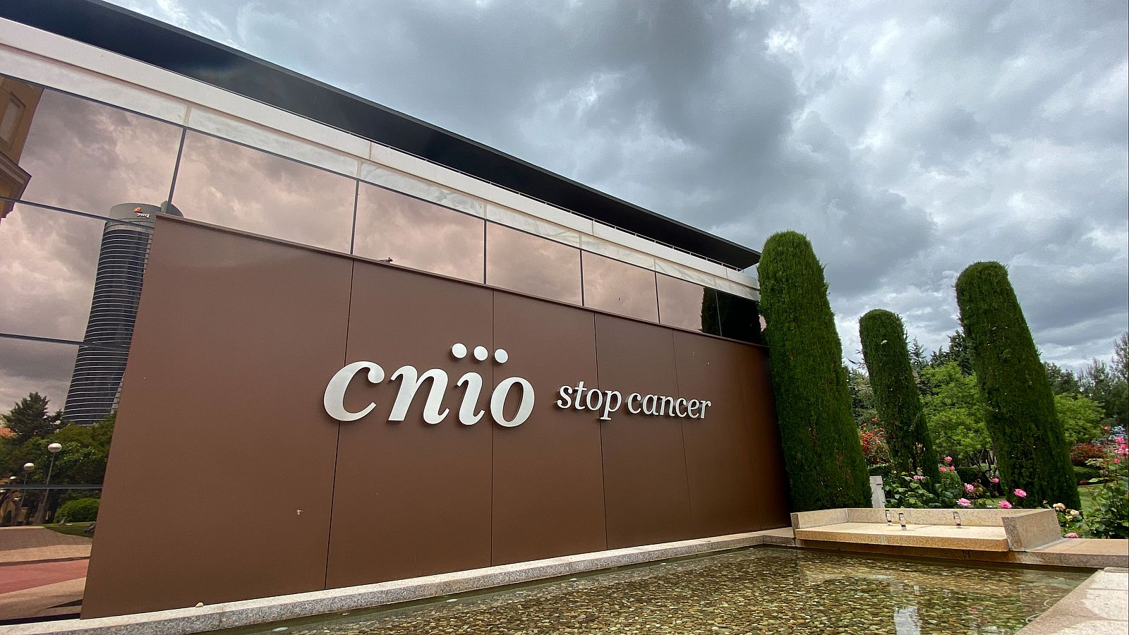 Logran eliminar en ratones los tumores más comunes en el cáncer de páncreas