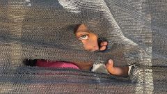 Mujeres en guerras y conflictos: víctimas, activistas, combatientes y arquitectas de la paz
