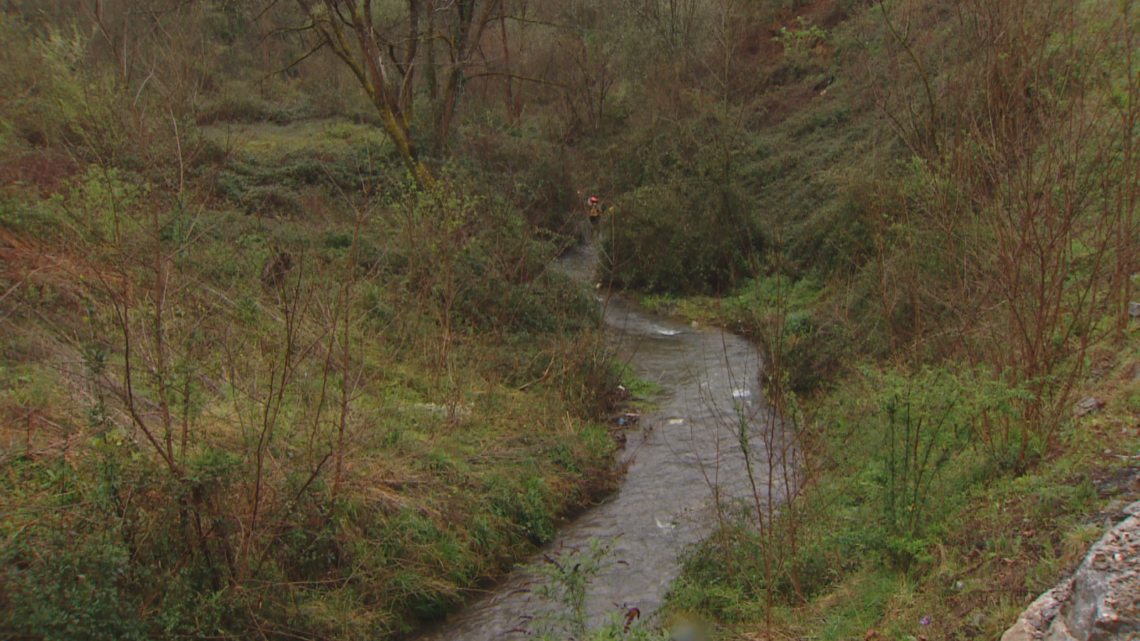 En una zona boscosa, un río serpentea mientras una persona con ropa oscura camina por el agua clara, posiblemente en una labor de búsqueda.