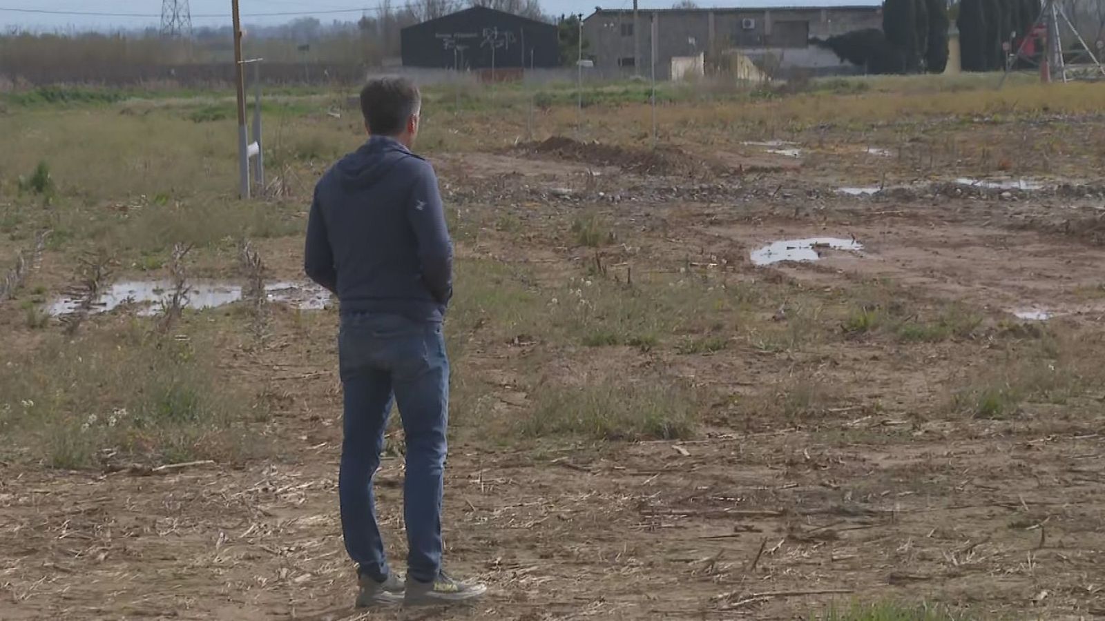 La pagesia alerta que el sector dels cereals està tocat de mort amb l'escalada de preus