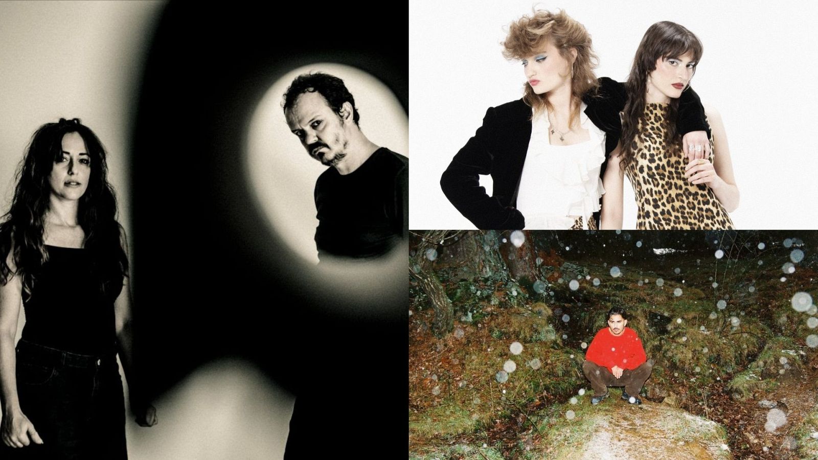 Un collage de cuatro fotografías: una en blanco y negro de una mujer y un hombre, otra de dos mujeres jóvenes, y una tercera de un hombre con jersey rojo en un entorno natural con un efecto visual.