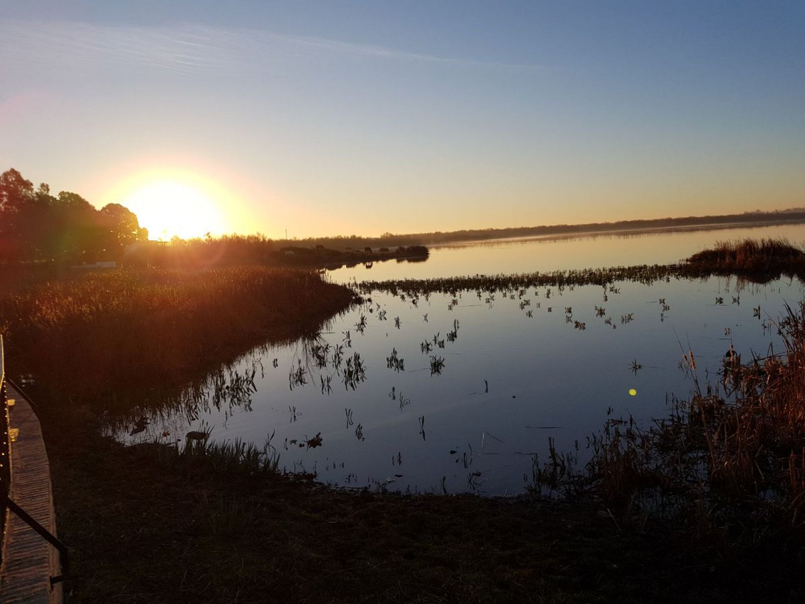 'El escarabajo verde' a viaja a Doñana, el humedal por el que tanto batalló Félix, necesitado a día de hoy de una regeneración hídrica