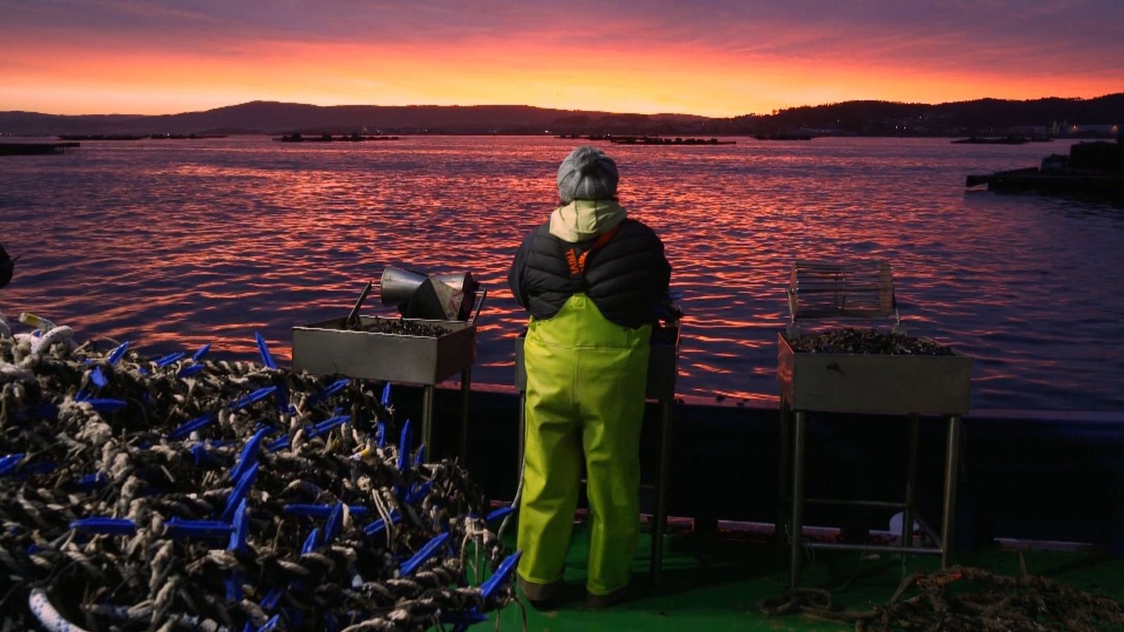 Trabajadora del mar en una batea de mejillones al atardecer en la ría de Arousa