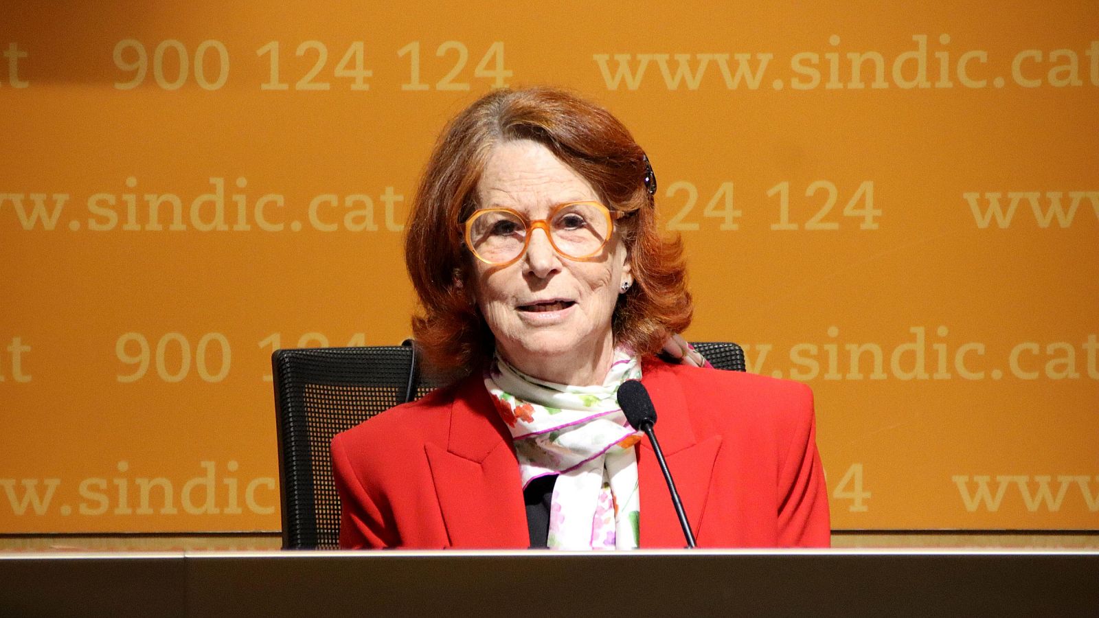 La síndica Esther Giménez Salinas en roda de premsa