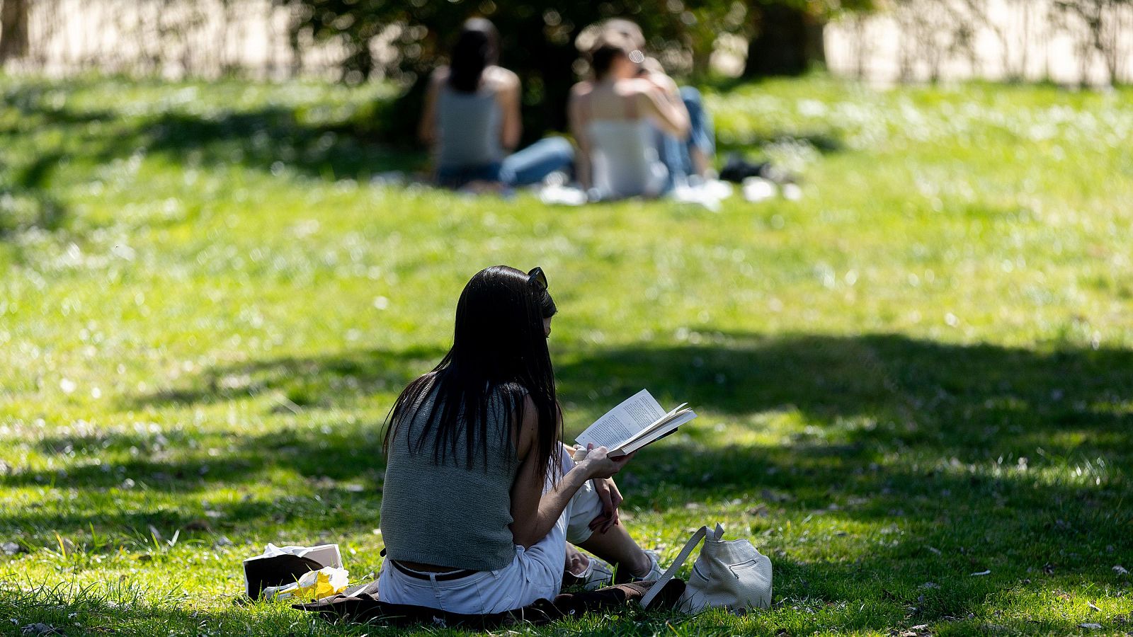 La primavera de 2026 -es decir, los meses de marzo, abril y mayo- probablemente sea más cálida de lo normal en España