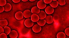 Crean un nuevo test que puede prevenir hasta un 70% de las trombosis en pacientes con cáncer