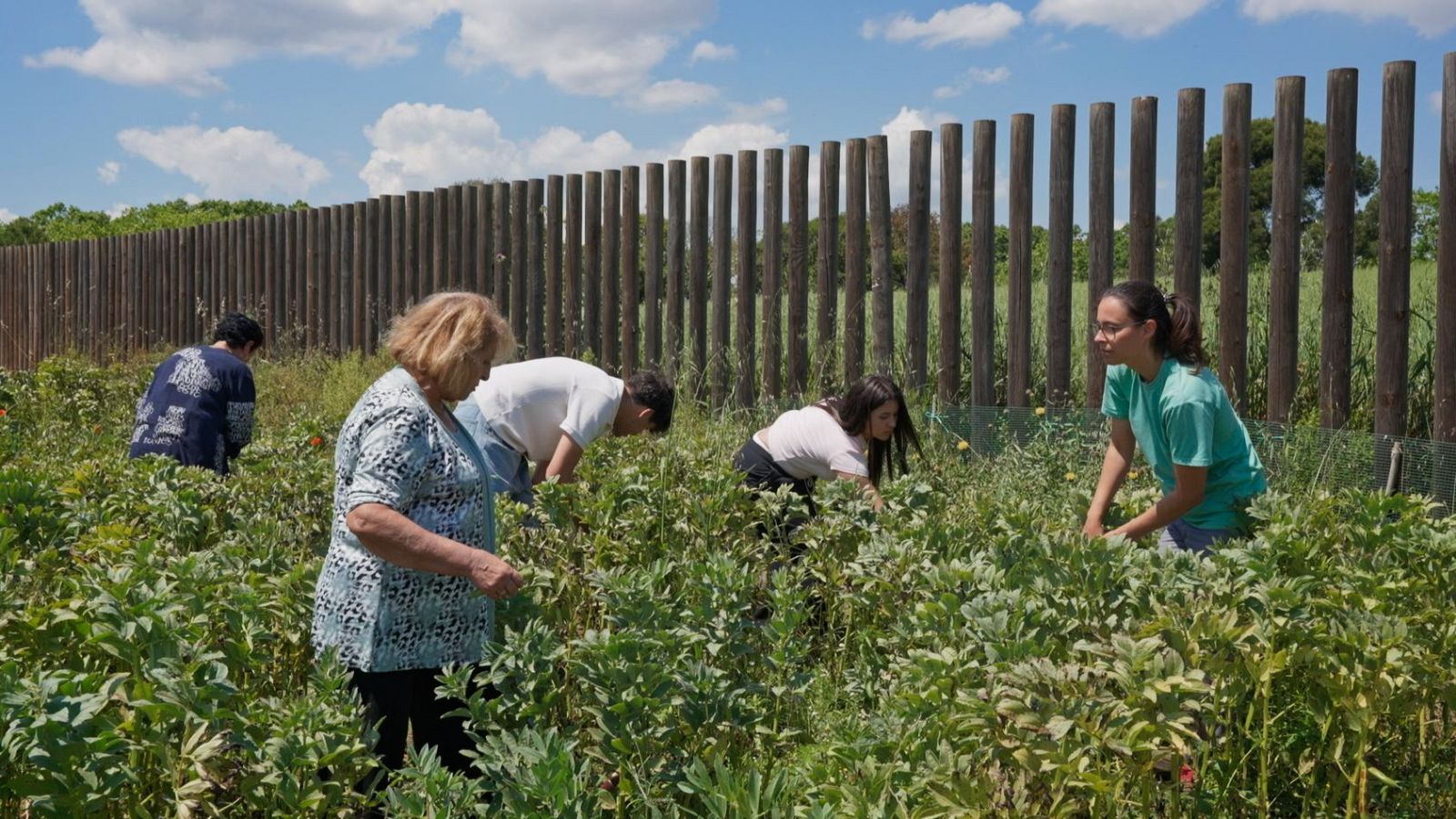 L’hort comunitari de Mas Duran: espai de salut, inclusió i convivència