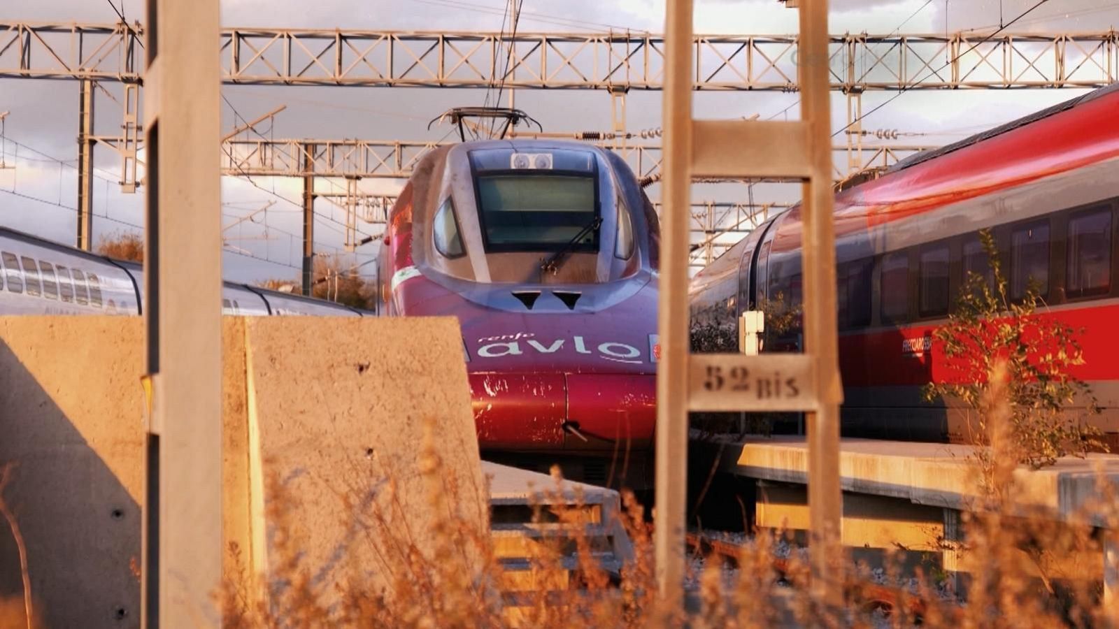 Biomímesis: la naturaleza como ingeniera