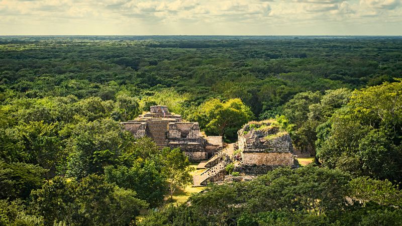 Los mayas empezaron a criar y vender perros hace unos 2.500 años