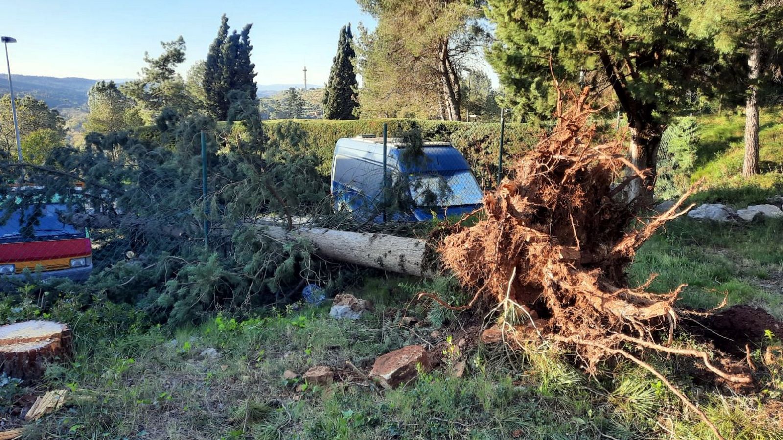 Les brigades municipals de Girona retiren un arbre caigut per la ventada a la ronda del Fort Roig