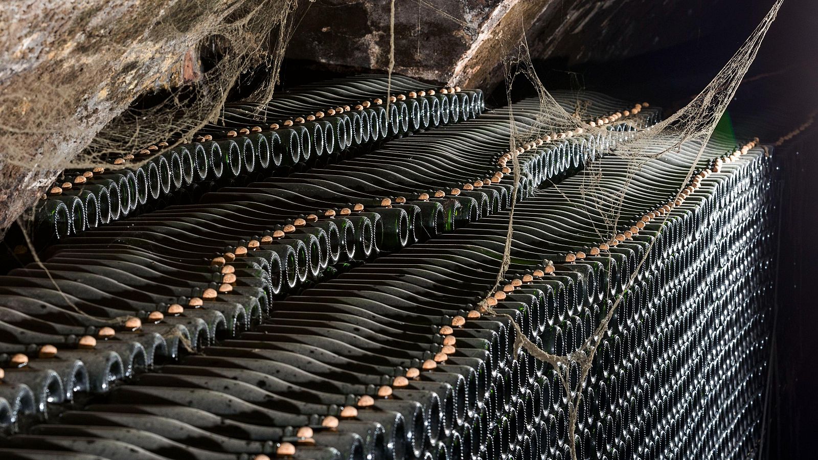 Celler de cava de llarga criança a Sant Sadurní d'Anoia